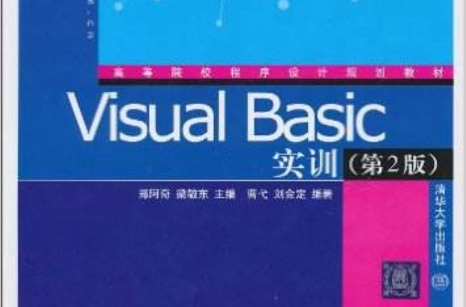 Visual Basic實訓（第2版）