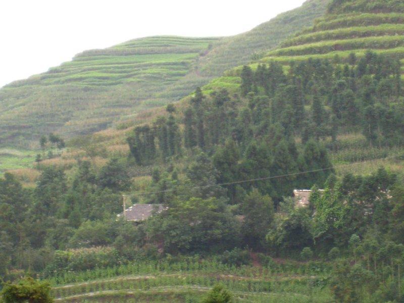 窩子寨村(雲南保山市龍陵縣龍新鄉下轄村)