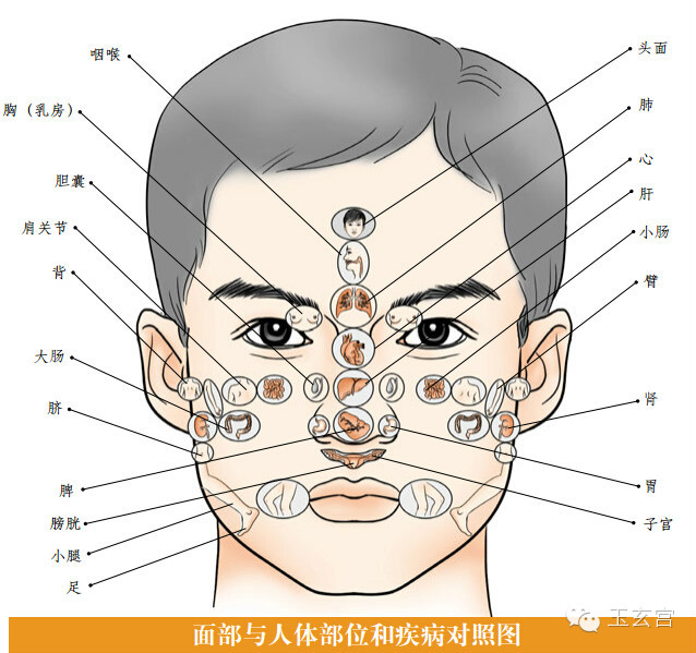 中醫面診