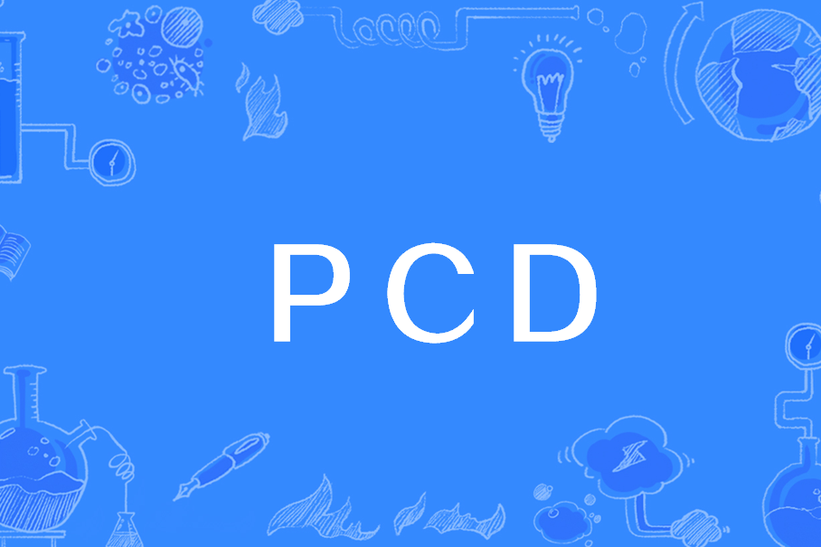 PCD(存儲格式)