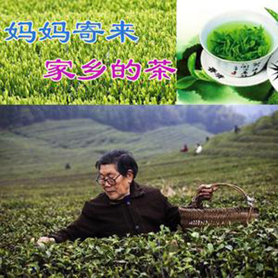 媽媽寄來家鄉的茶