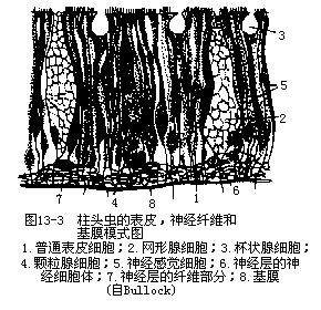 圖13-3