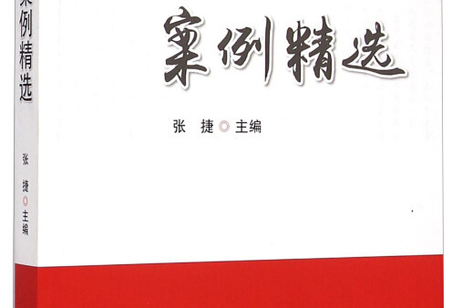 稅務稽查案例精選(2015年中國稅務出版社出版的圖書)