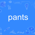 pants(英文單詞)