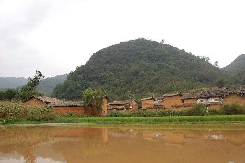 上拱樹革下寨村