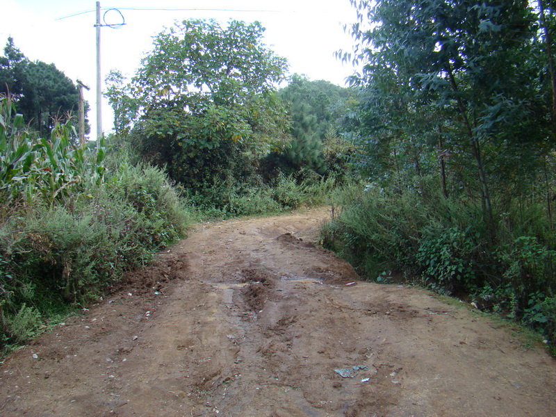 上尖山自然村通村道路