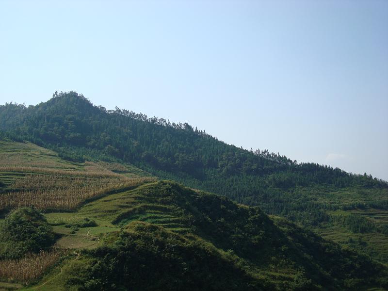 水井灣自然村(高橋鎮核桃村民委員會下轄自然村)