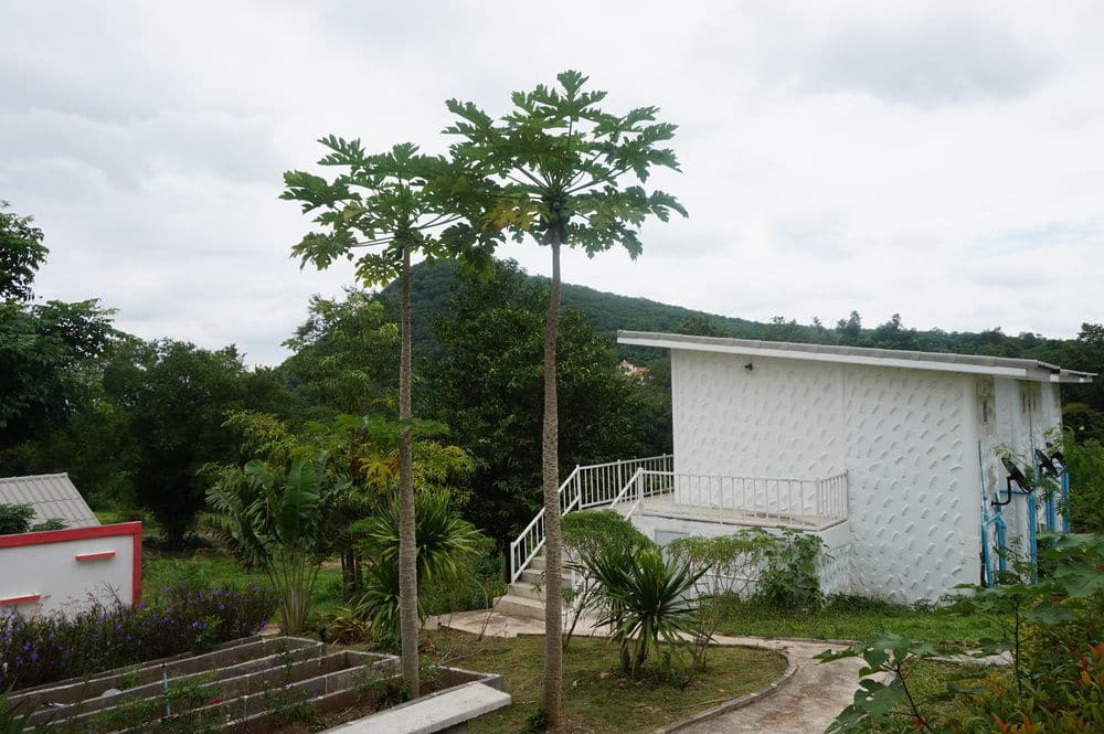 小村(雲南省昆明市祿脿鎮下轄村)