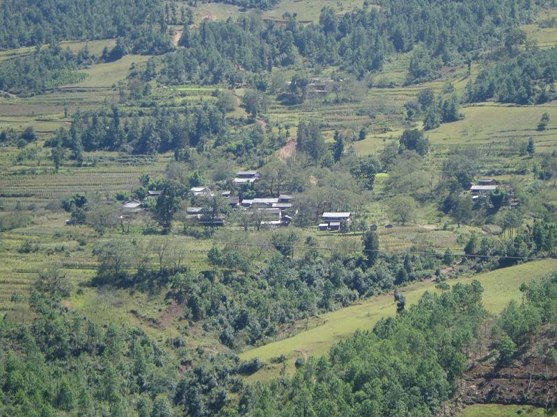 西山柒樹自然村