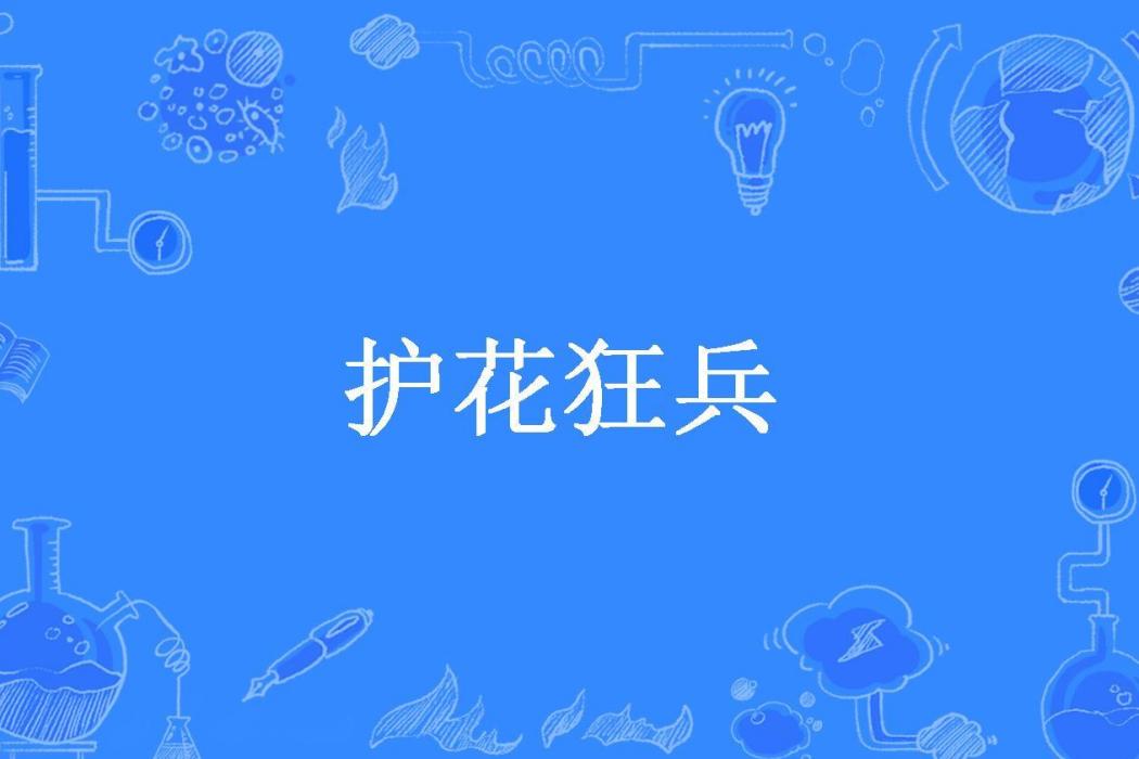 護花狂兵(天下所著小說)