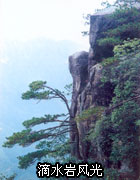 島石鎮滴水岩