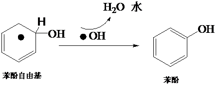 籠內第二步