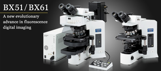 奧林巴斯顯微鏡BX51/BX61