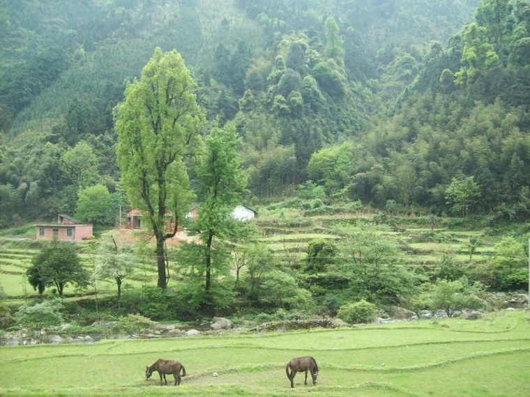 韭菜山村