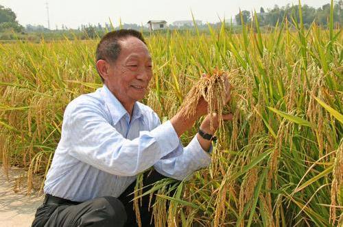 “非常”農民：袁隆平