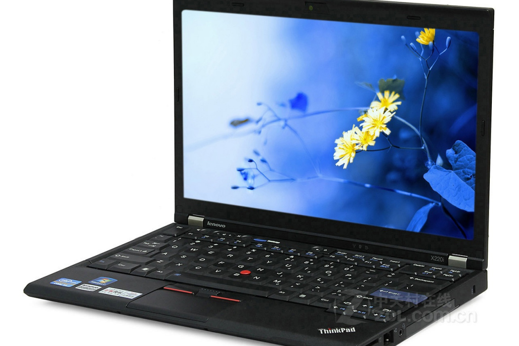 ThinkPad X220i(42862ZC)