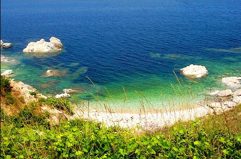 養馬島