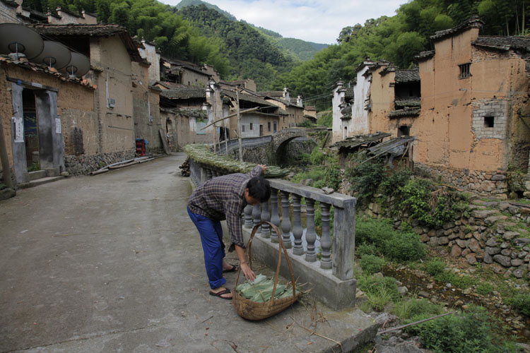 黃嶺根