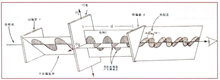 偏振顯微鏡