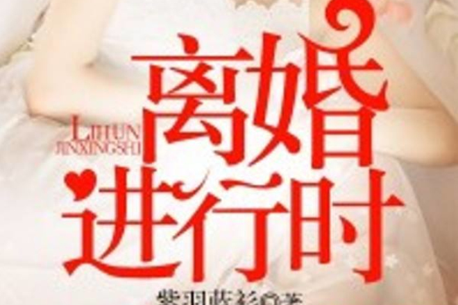 離婚進行時(若初文學網小說)