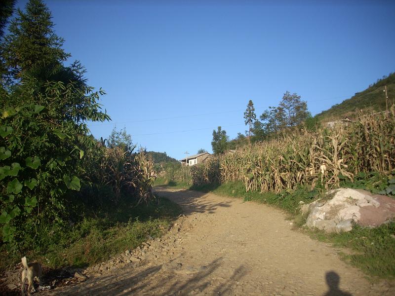 進村道路