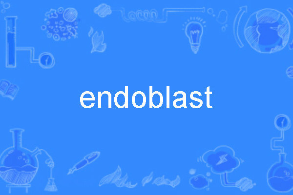 endoblast