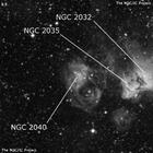 星團NGC 2040