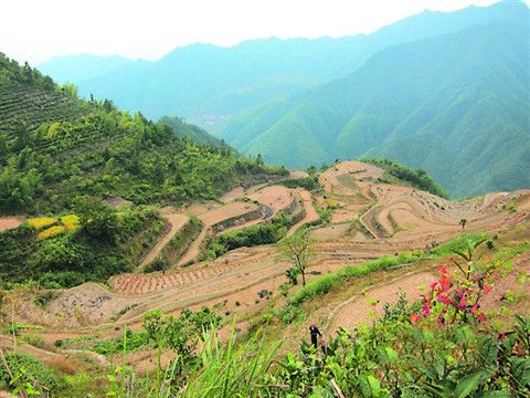 小白山村(雲南省楚雄市子午鎮杞木村委會小白山村(.))