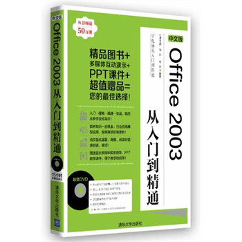 中文版Office 2003從入門到精通