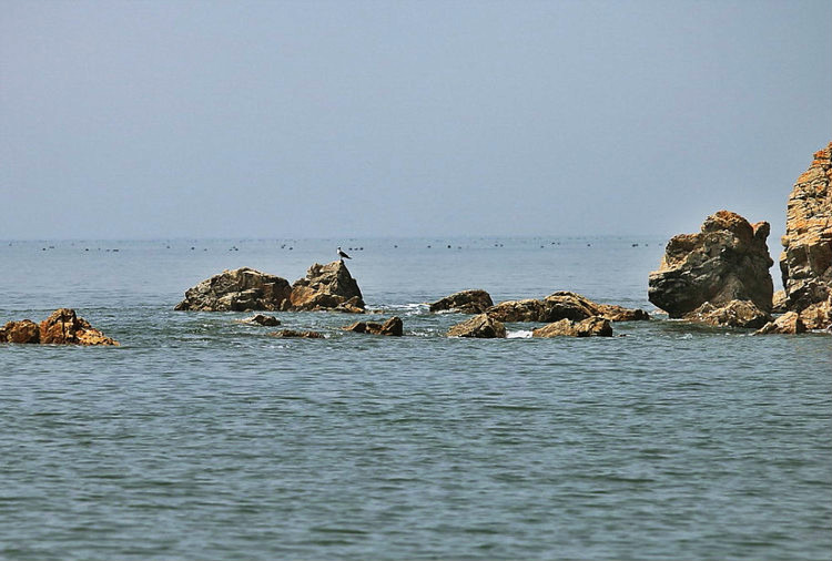 城山頭海濱地貌國家級自然保護區(成山頭海濱地貌國家級自然保護區)