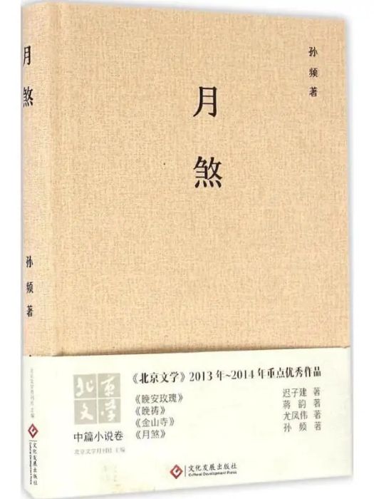 月煞(2016年印刷工業出版社出版的圖書)