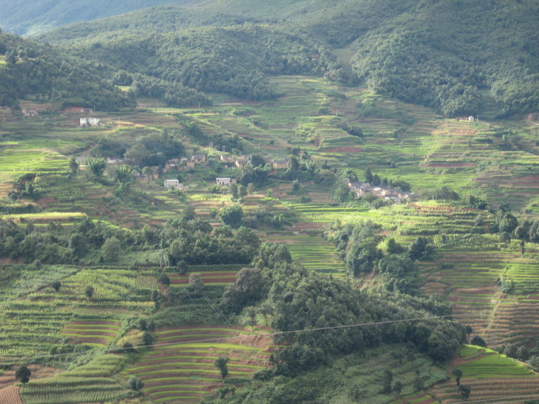 尼戈中寨村