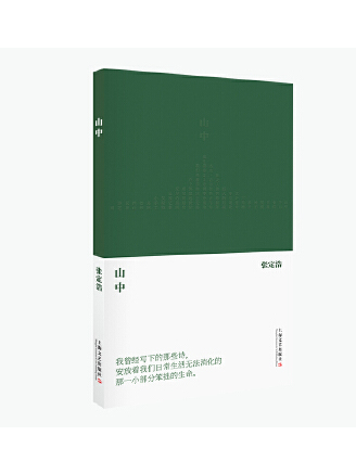 山中(2023年上海文藝出版社出版的圖書)