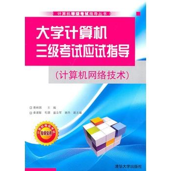 大學計算機三級考試應試指導（計算機網路技術）(大學計算機三級考試應試指導)