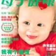 母子健康雜誌（2006年第9期）