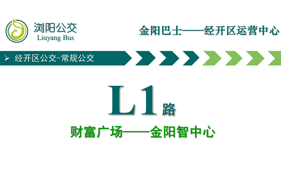 瀏陽公交L1路