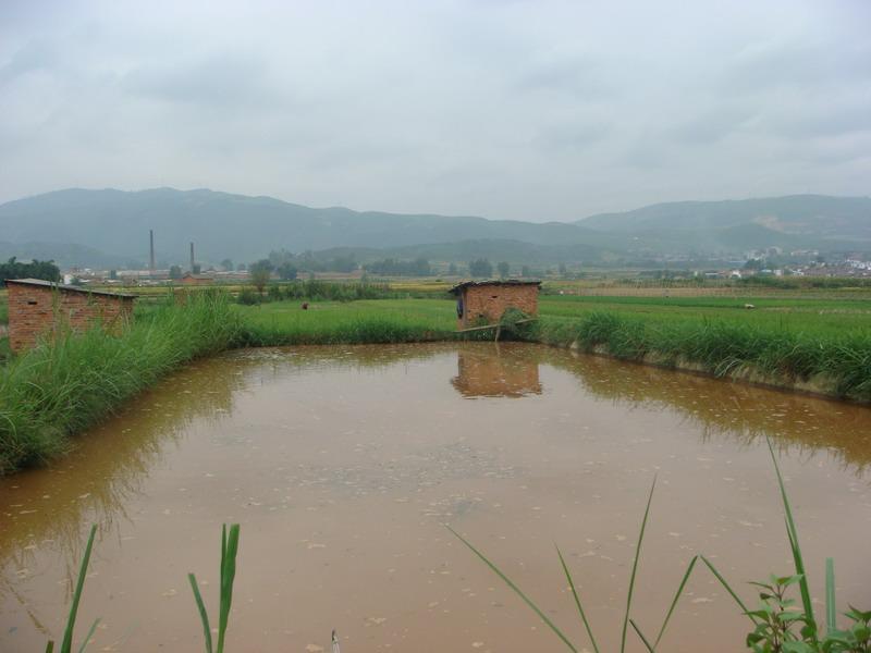 養殖業