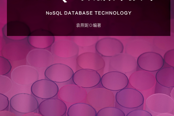 NoSQL資料庫技術(2020年北京郵電大學出版社出版的圖書)