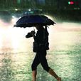 風裡雨里(詞語釋義)