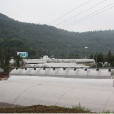 雙城村(甘肅省臨夏回族自治州臨夏縣雙城村)