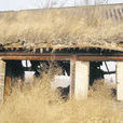 鞍山普寧寺