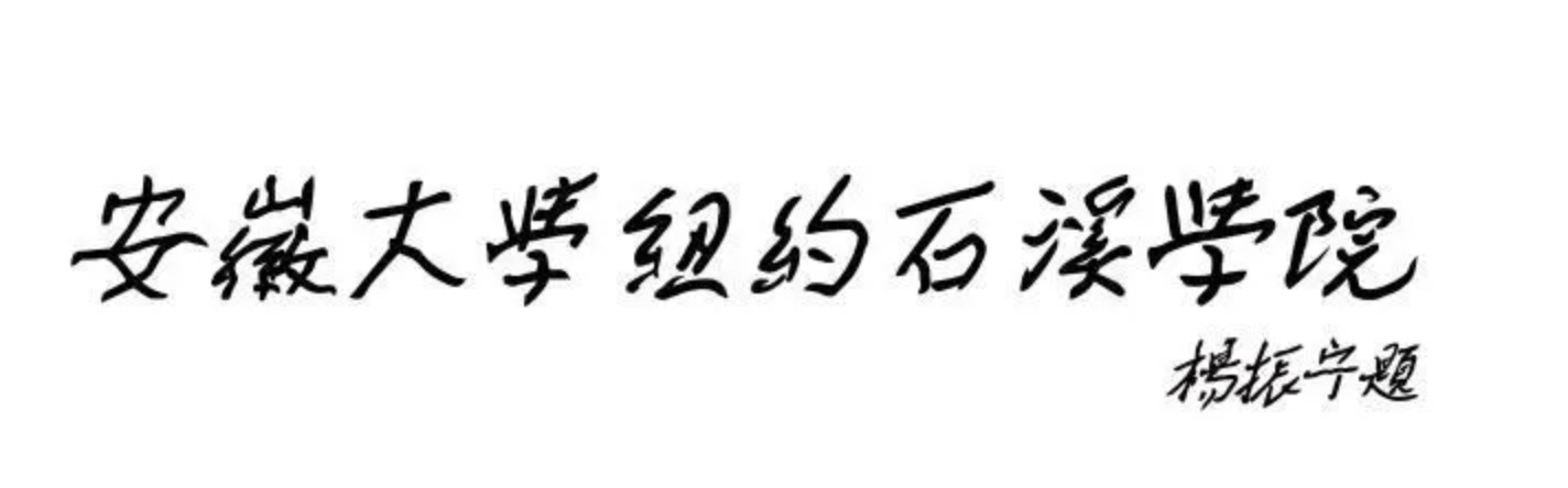 紐約州立大學石溪分校