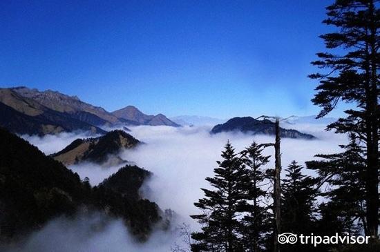 黑竹溝風景區