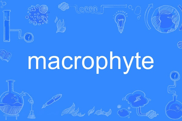 macrophyte