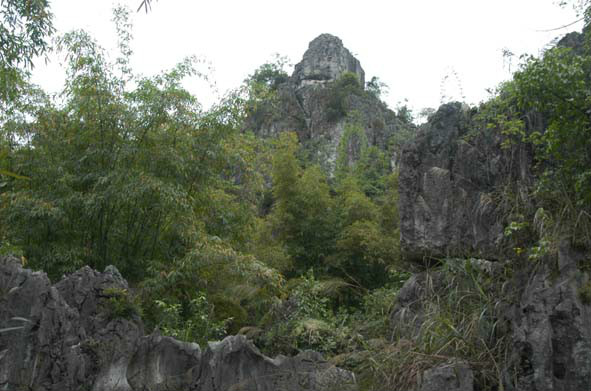 四川興文世界地質公園(中國興文世界地質公園)