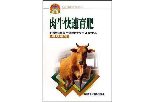 肉牛快速育肥