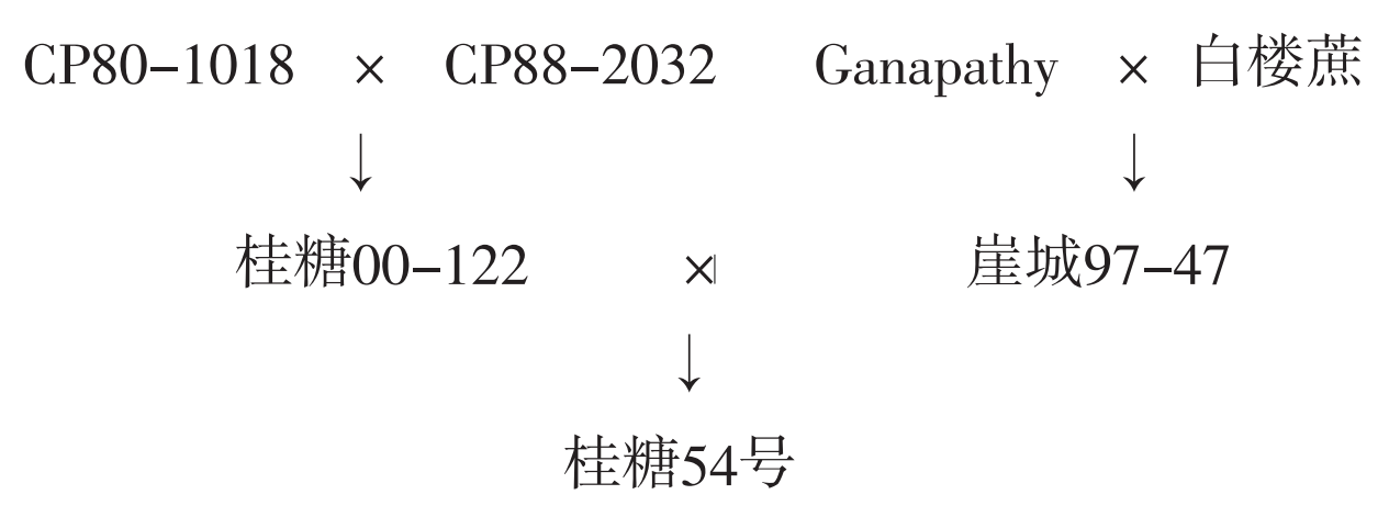 桂糖54號