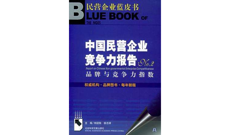 中國民營企業競爭力報告NO.2