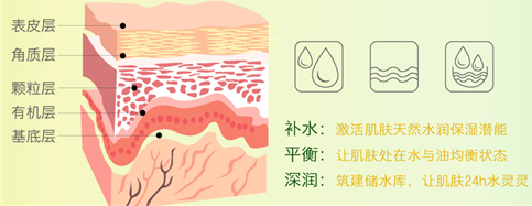 植物日記青竹高水分系列