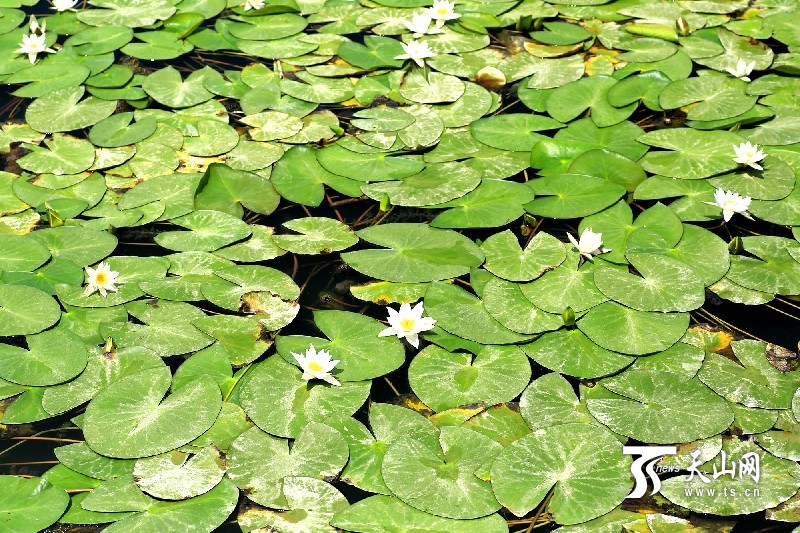 博斯騰湖風景名勝區